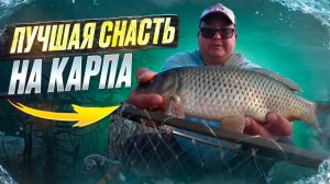 САМАЯ ПРОСТАЯ И УЛОВИСТАЯ СНАСТЬ НА КАРПА. БЕШЕННЫЙ КЛЕВ ДИКОГО КАРПА В КАМЫШАХ.