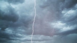 Стальные музыканты