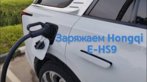 Зарядка Hongqi E-hs9