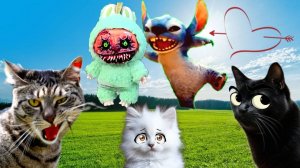 Сумасшедший СТИЧ Влюбился в ЛАБУБУ ЕХЕ! Кошки в ШОКЕ! Подряд 3 видео
