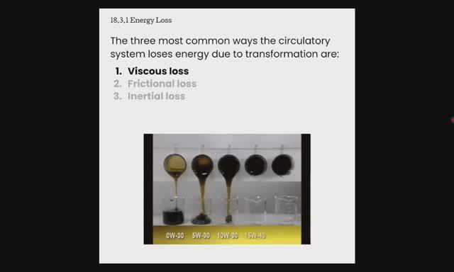 Гемодинамика в УЗИ