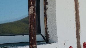 Отзыв клиента Людмилы о нашей работе | Интервью