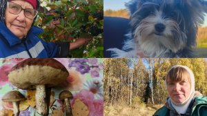 Мою ,солю ,собираем ,родня понаехала .