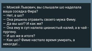 Мужику Жена Не Дает! Сборник Веселых Жизненных Анекдотов! Юмор