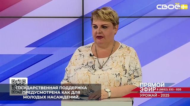В Ставропольском крае по федеральному проекту по развитию виноградарства