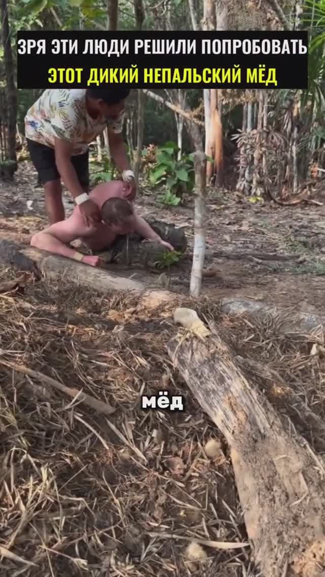 Ночное, можно не смотреть.. смотреть онлайн