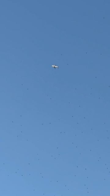 Взлет самолёта боинг 737-800 победа Airlines