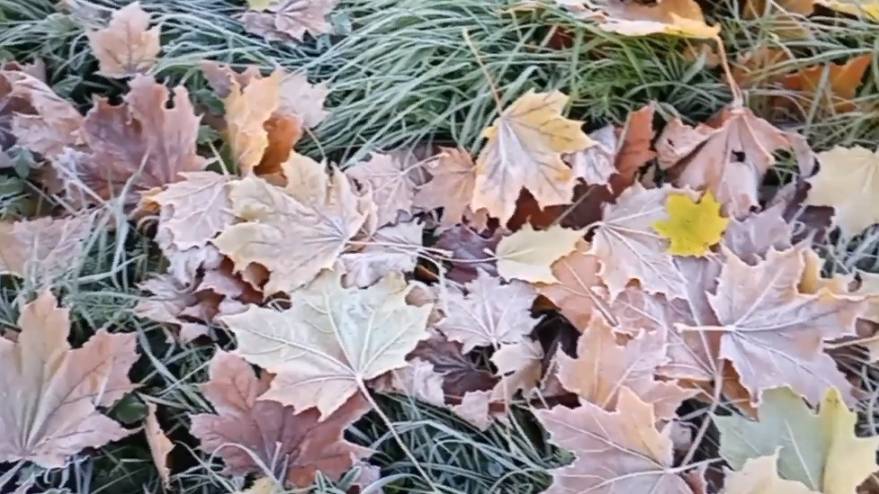 Заморозило смотреть онлайн