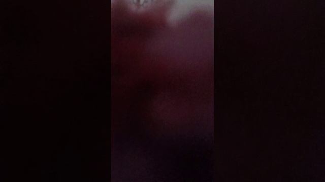 всем привет