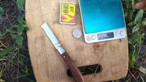 Гф Александр Лукашенко селекции Донского Казачества с потрясающей ягодой.