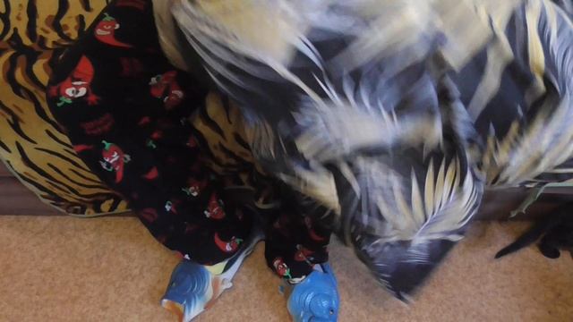 распаковкасwildberries  две подушки две наволочки два кологена