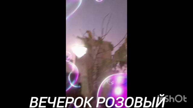 Белла и Пуша часть 2 смотреть онлайн