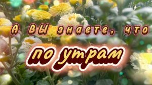 Доброе утро. А вы знаете, что по утрам горизонт улыбается нам? Песня с добрым утром