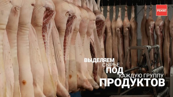 РЕМИТ производство