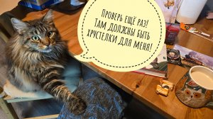 Цветочные совы взяли под надзор зернохранилище. Распаковка посылки с туманной Британщины