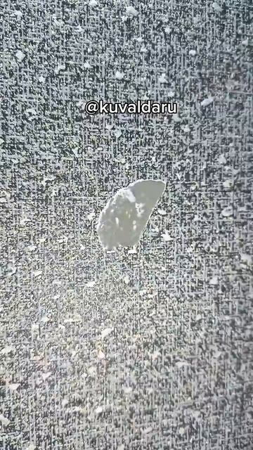 Ремонтируем обои своими руками😎👌 смотреть онлайн