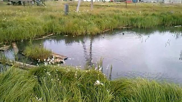 CAM01337 смотреть онлайн
