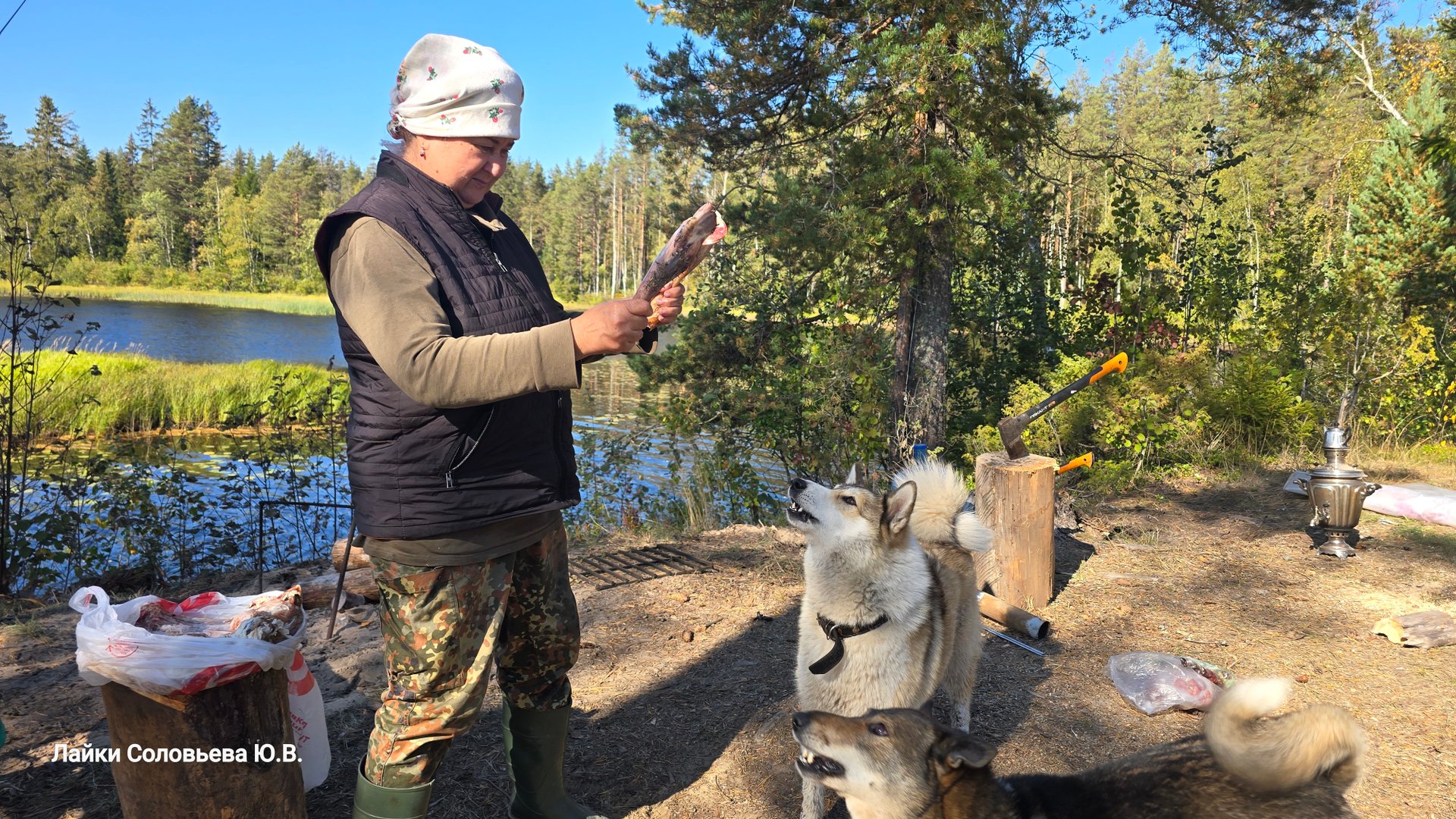 Мясо для всех в тайге
