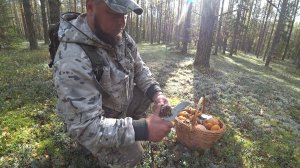 ЗАШЁЛ ТУДА, ГДЕ ГРИБЫ УЖЕ НЕ КОМУ НЕ НУЖНЫ. СОБРАЛ КРАСНЫХ НА ИКРУ, ОТВОДНОЙ У ДЕРЕВНИ-ГРИБАЛКА 2025