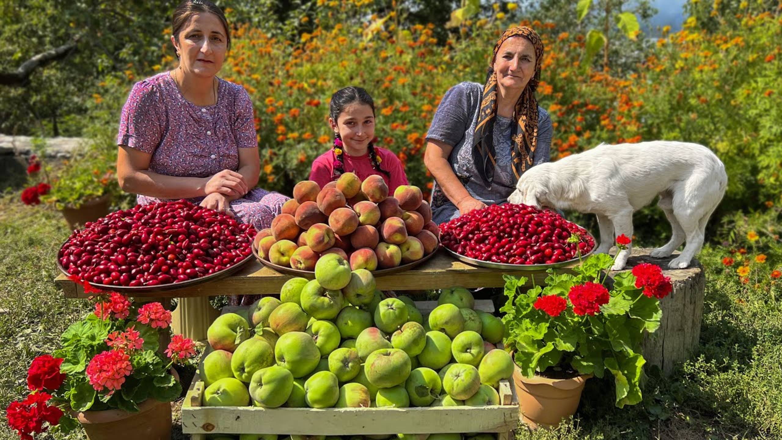 Только в деревне! Столько вкусных и свежих фруктов — настоящая жизнь на природе смотреть онлайн