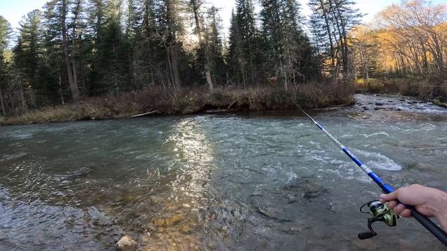 Лучшая рыбалка в России