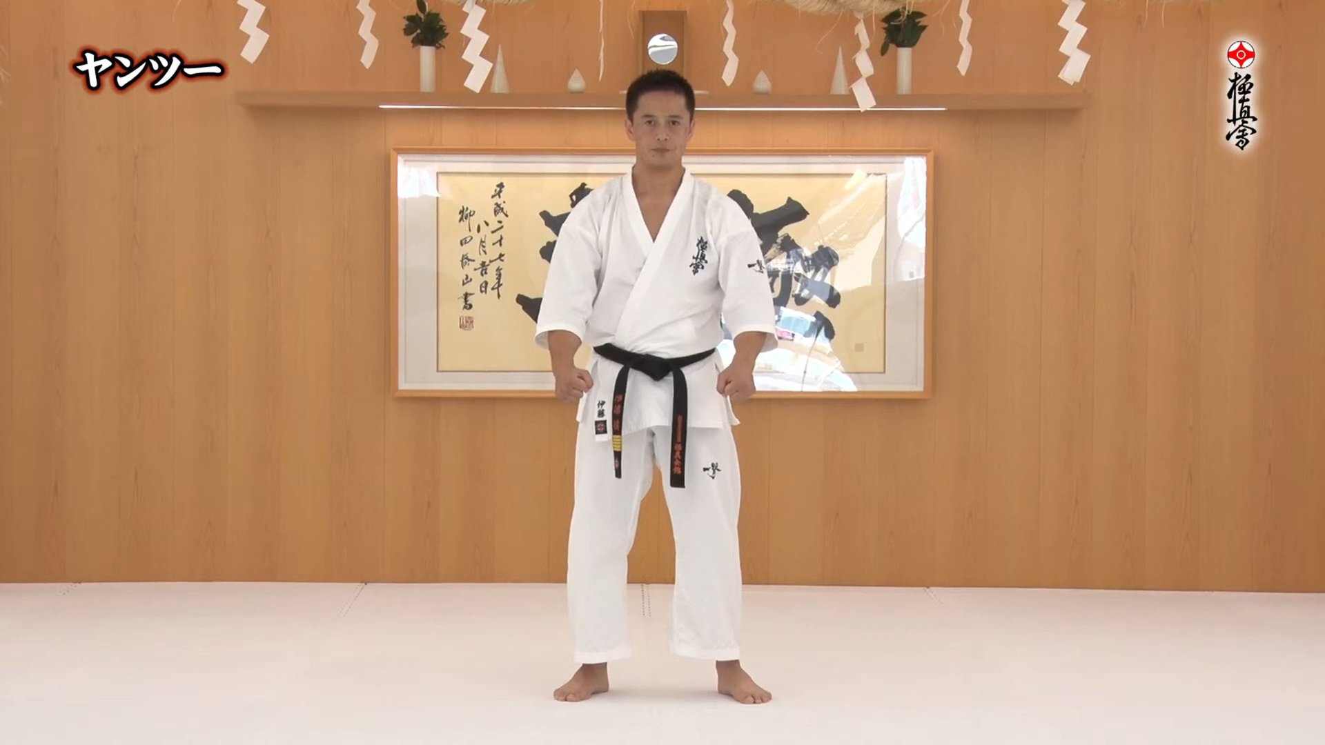 Янцу - Ката Карате Кёкусинкай (Kata Yantsu - 安三)v.3 смотреть онлайн