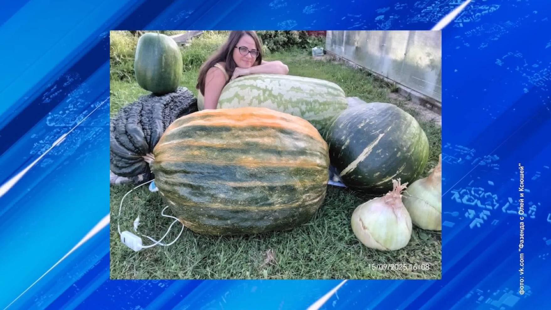 Жительница Ярославской области получила награду за тыкву-гиганта смотреть онлайн