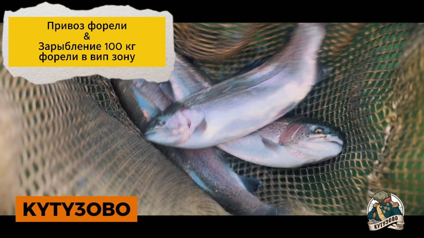 привоз и зарыбление форели 30.09