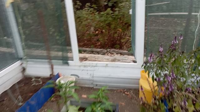 29 сентября ,приехала на дачу, уже вечер, иду посмотреть как в огороде. смотреть онлайн