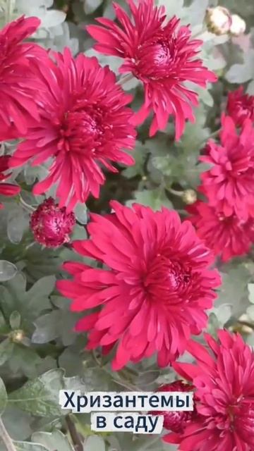 2025-09-30 смотреть онлайн