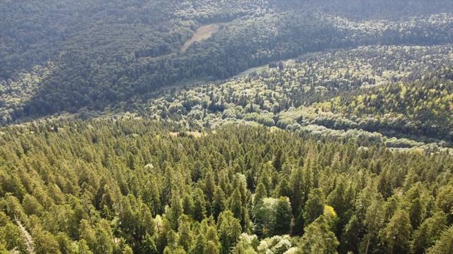 Учет оленя хр. Кочерга 2025 смотреть онлайн