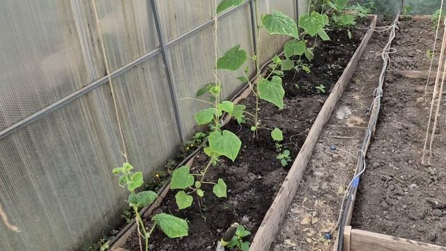 БУДЕТ ТОЛК НЕ ЗНАЮ. ГЛАВНОЕ Я СТАРАЮСЬ смотреть онлайн