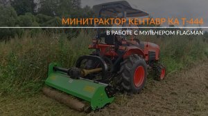 Трактор Кентавр Т-444 с мульчером Flagman в работе