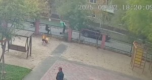 Самокатчик vs Велосипедист