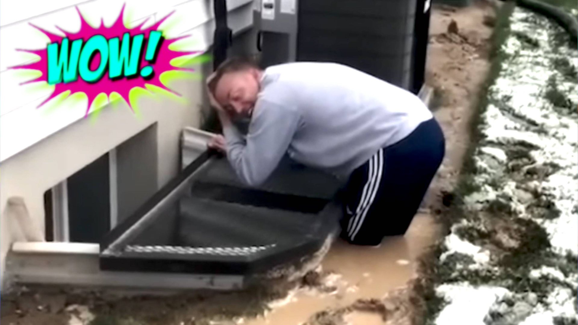 СМЕХ ДО СЛЕЗ: СМЕШНЫЕ ВИДЕО И ПРИКОЛЫ смотреть онлайн