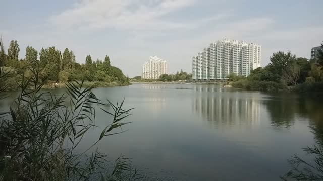 Четверг моими глазами