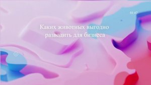 Каких животных выгодно разводить для бизнеса