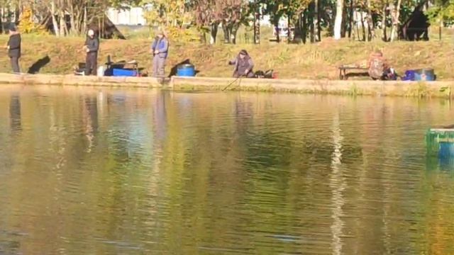 WhatsApp Video 2025-09-30 at 10.12.59 смотреть онлайн