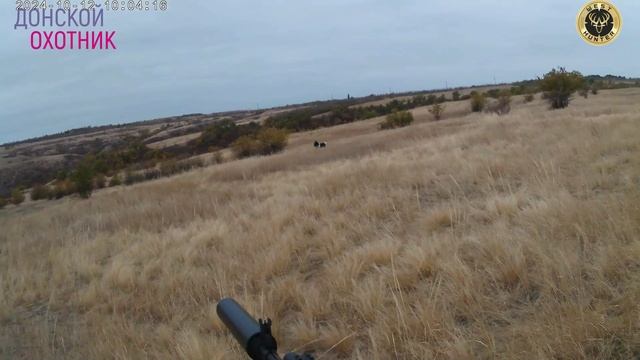 Охота на косулю - отличный результат смотреть онлайн