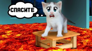 КОШКА МУРКА И ЧЕЛЕНДЖИ ДЛЯ  КОТОВ! [2018]