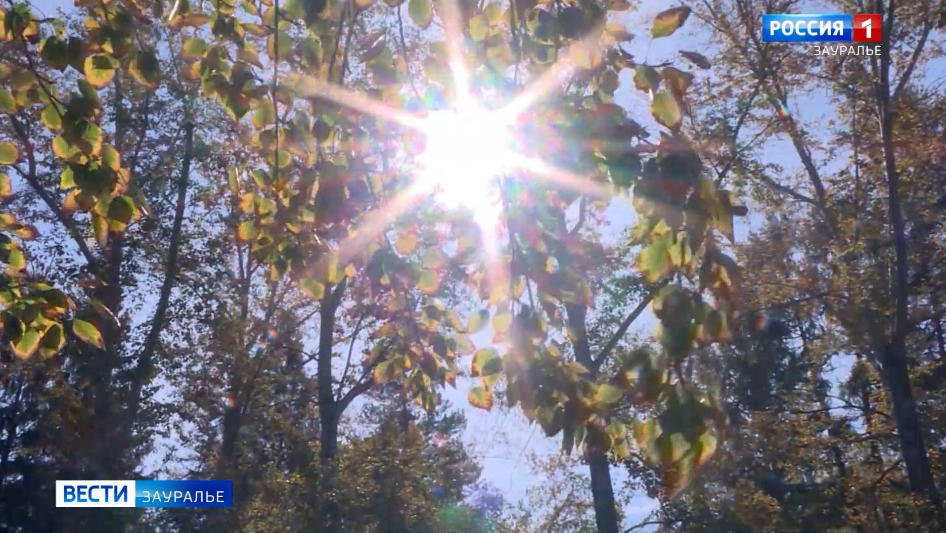 Первый месяц осени удивил не только аномально тёплыми днями, но и заморозками смотреть онлайн