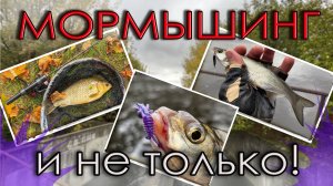 Мормышинг и не только. Лещ, Карась и Жерех на спиннинг. TeleTen 2.0 125 и Nano Zero Air.