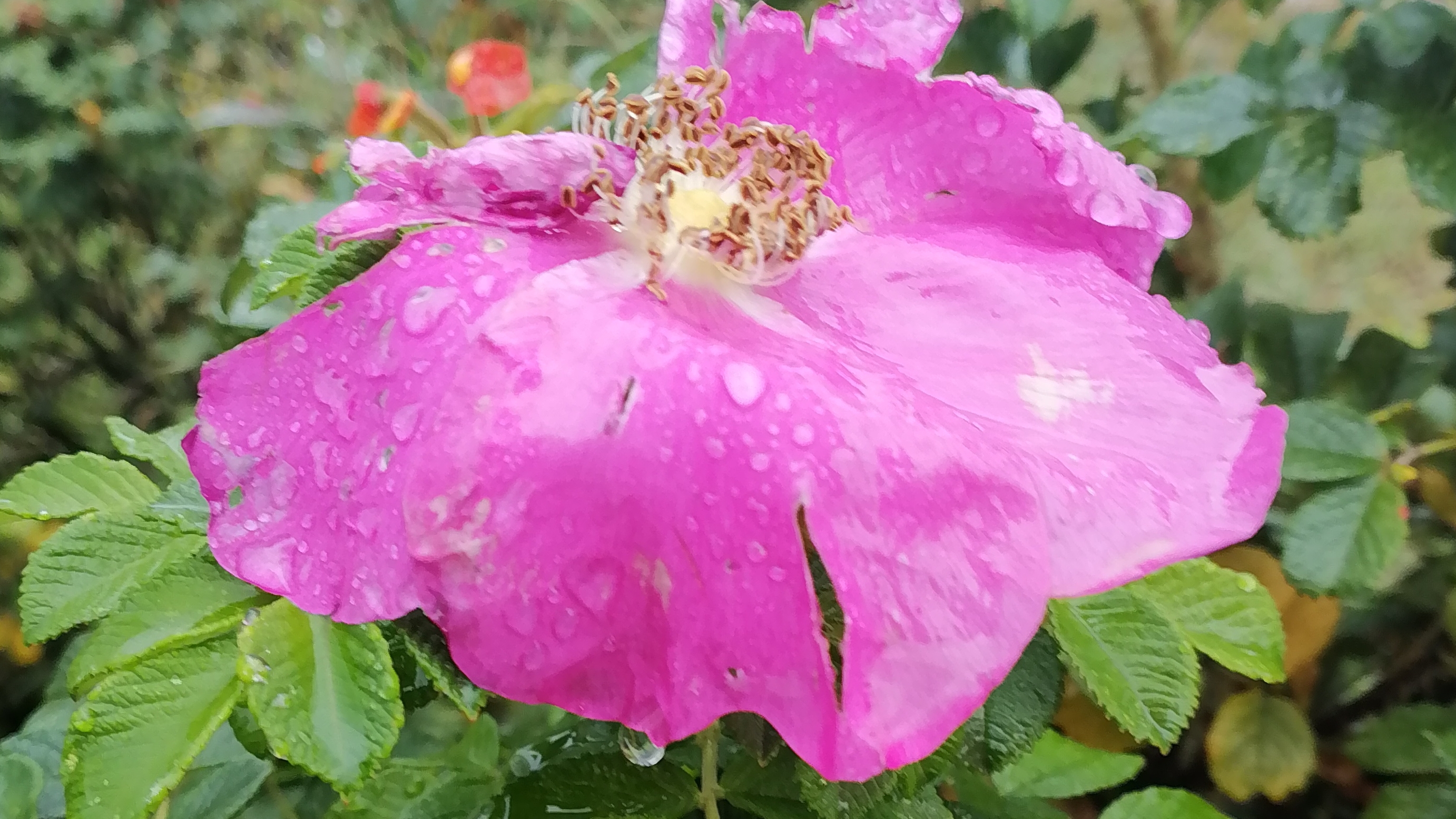 30-09-2025 🍁 смотреть онлайн