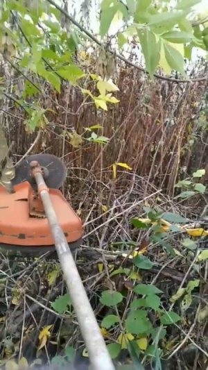 когда бензопила сломалась а деревья нужно срочно пилить 😁.mp4