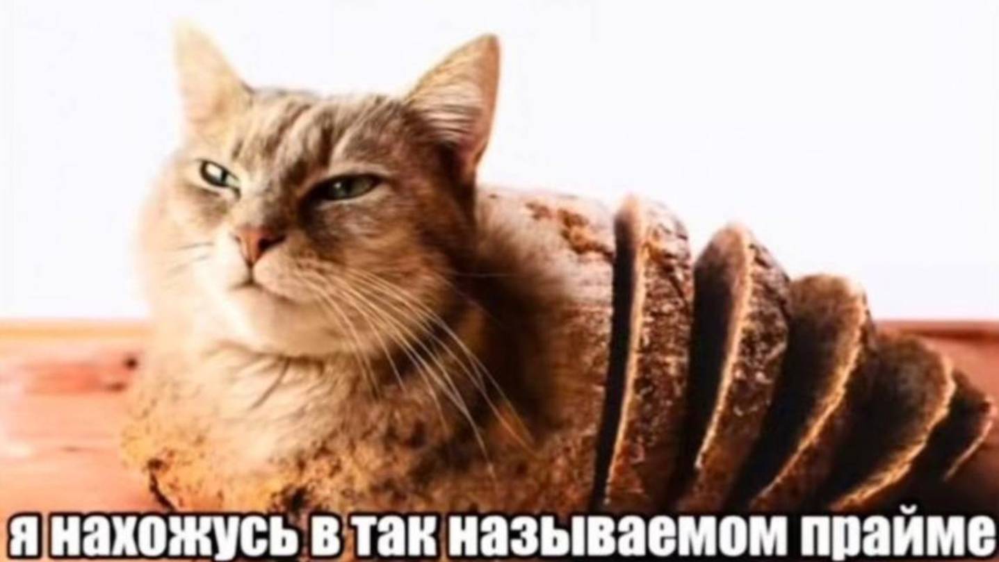 За пределами лобби(часть№2)