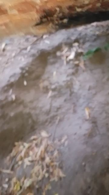 замена задних саленблоков мицубиси рвр часть вторая