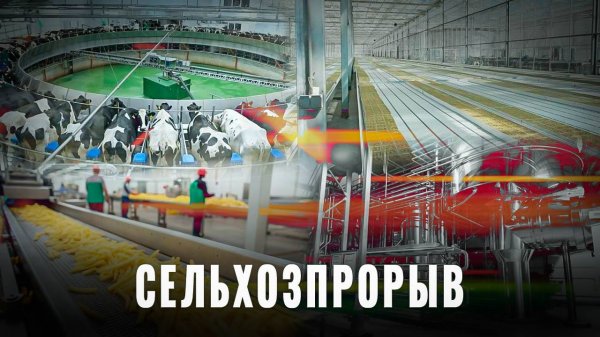 Тихая революция: Россия запускает новый агропром, обзор АПК