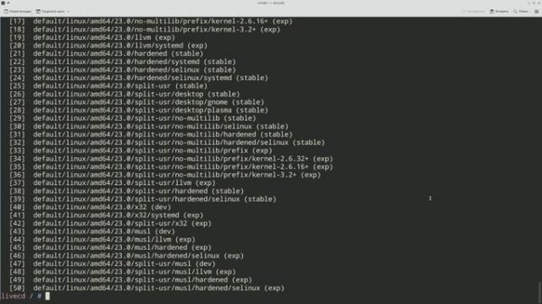 Установка Gentoo Linux