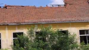 Вюнсдорф. 69 МСП 2025г.