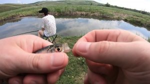 ЛОВИМ УКЛЕЙКУ В НАЧАЛЕ ИЮНЯ